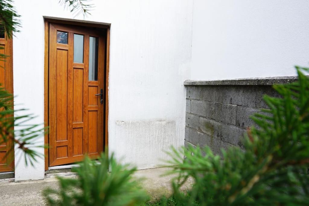 Airport Studio Loft - Galleria Belgrad Exterior foto